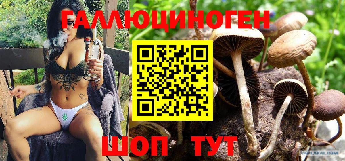 Галлюциногенные грибы мицелий  Вход с VPN  Аргун 